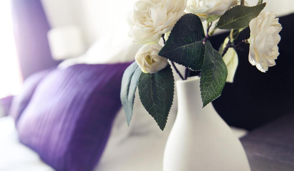 Adler Appartement *